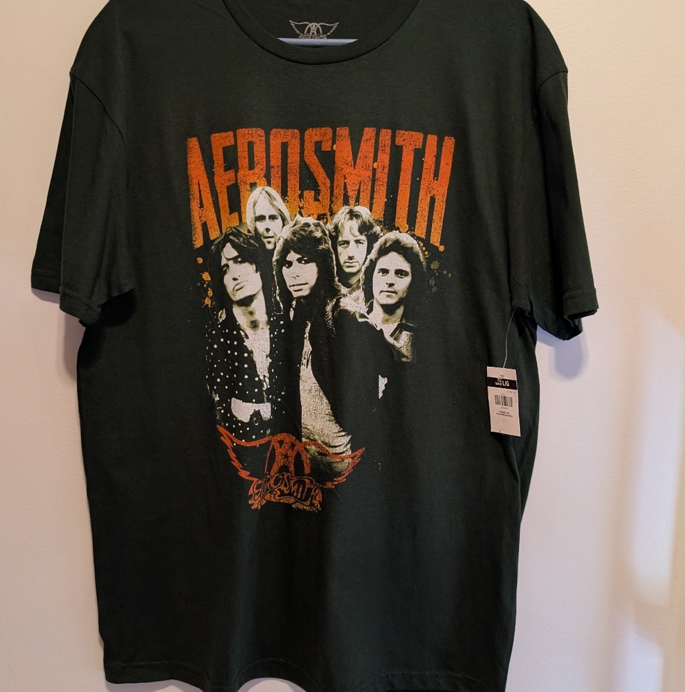 Aerosmith Graphic Men's T-Shirt - Dark Green